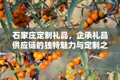 石家庄定制礼品，企承礼品供应链的独特魅力与定制之旅