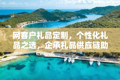 网客户礼品定制，个性化礼品之选，企承礼品供应链助力商务之选